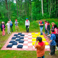 Игра Мега Шашки