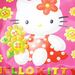Сумка планшет ANGRY CAT 12 для 